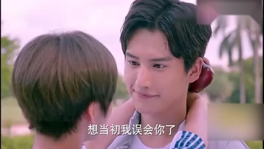 动物帮帮忙保卫家园